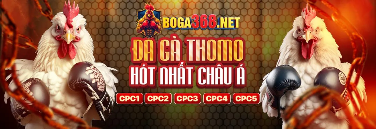 Sứ mệnh và tầm nhìn hdbet88 app